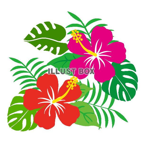 ハワイ イラスト 簡単 ハワイ イラスト 手書き 簡単 Jpirasutobjviqe