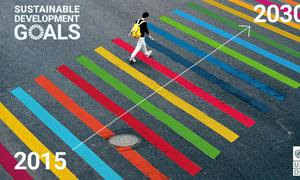 Los colores de los Objetivos de Desarrollo Sostenible en un cruce peatonal