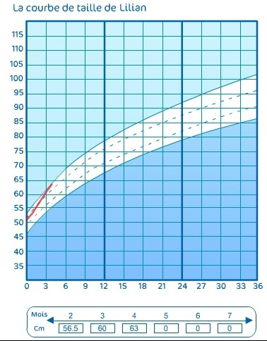 Taille Des Bebe Mois Par Mois Partager Taille Bonne