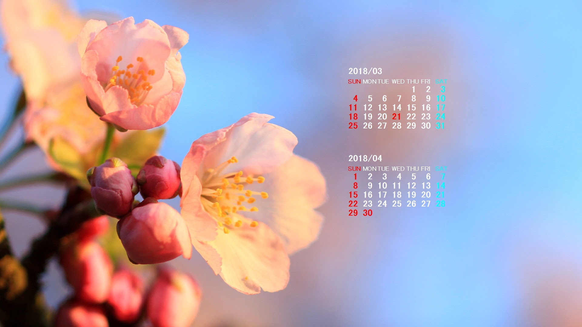ほとんどのダウンロード Pc 壁紙 カレンダー 18 Jpbestwallpaper