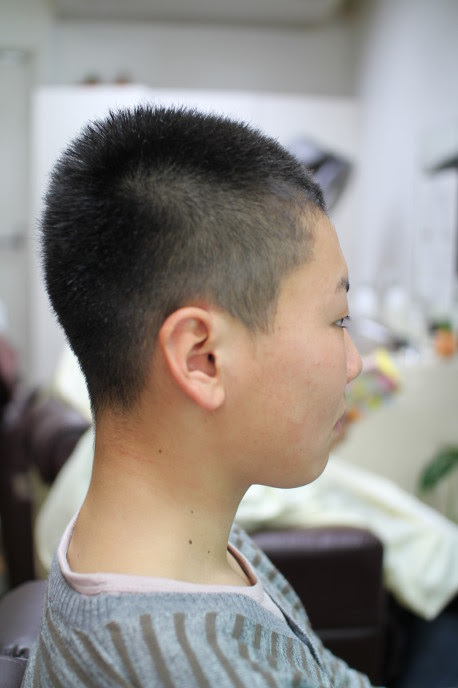 髪型 上中学生 髪型 ソフト モヒカン