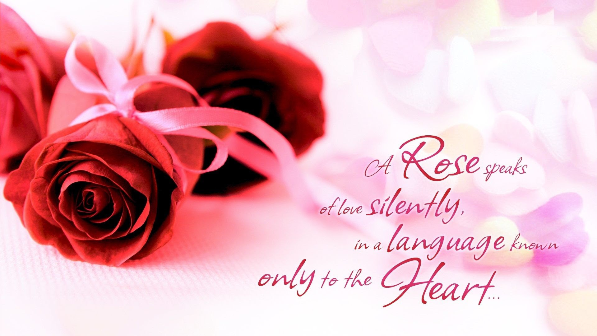 Wallpaper Hd Love Rose Flower Images