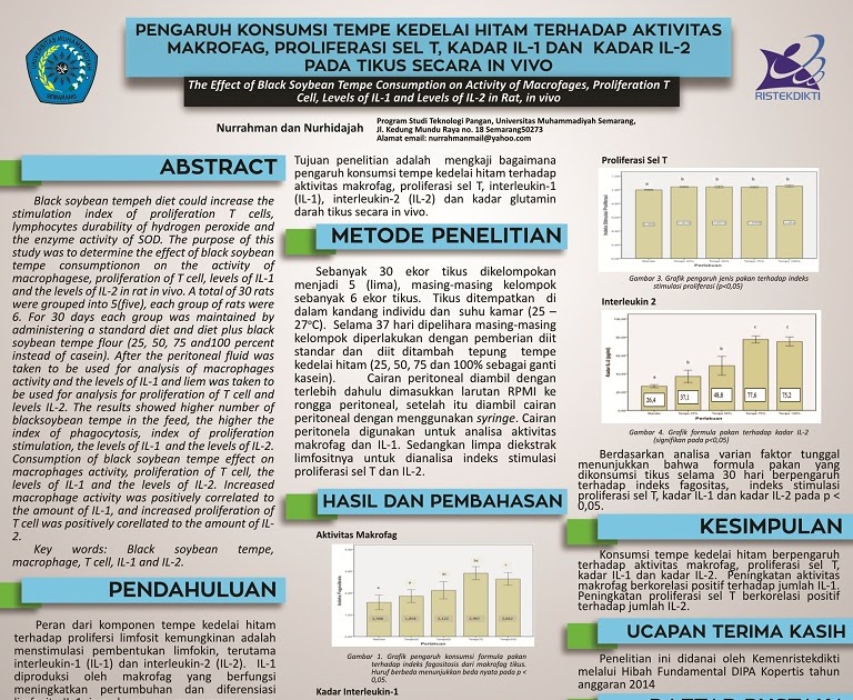 Contoh Dari Hasil Inovasi - Surat Box