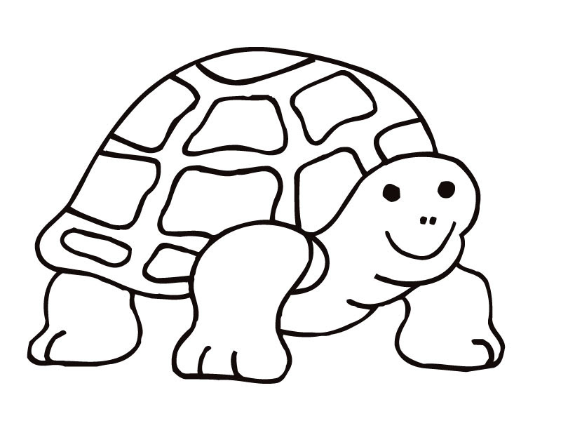 Some tortoise coloring may be available for free. Turtle Or Tortoise Coloring Page Tattoo Page 2 Cliparts Co
