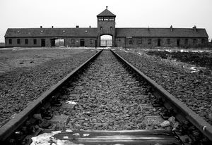 auschwitz_by_stevieboyuk.jpg