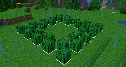 すごい Minecraft サボテン 育て方 Minecraftの最高のアイデア