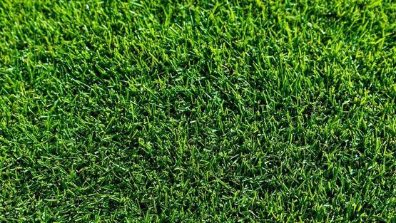 Maybe you would like to learn more about one of these? Pricing Hop S Landscaping