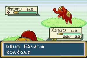 壁紙最高のトップ トップコレクション ポケモン ゴールデンサン 図鑑