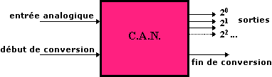 can