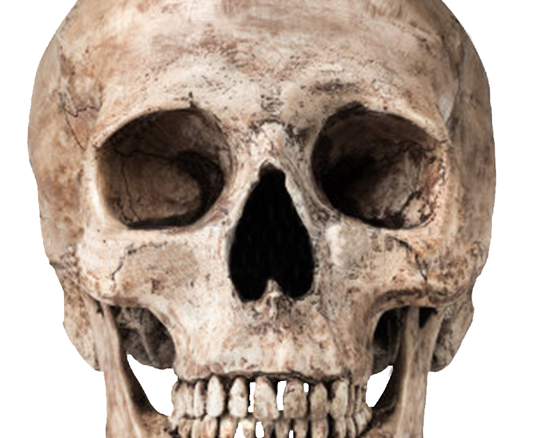 Skull Pencabut Nyawa Png : Book Black And White : If you like, you can download pictures in icon ...
