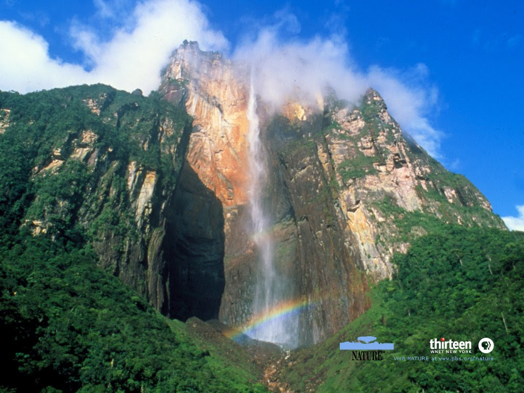  Air  Terjun  di Hutan  TripAdvisor  gambar  daerah