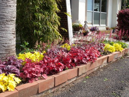 ヒューケラ 花壇 間隔 ヒューケラ 花壇 間隔