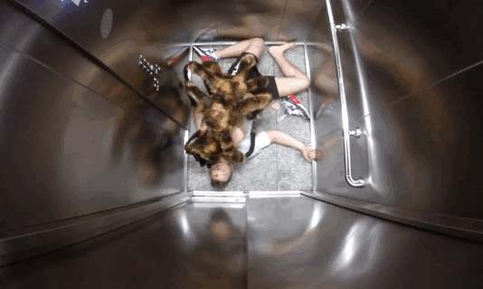 無料印刷可能犬 面白い Gif 動物画像無料