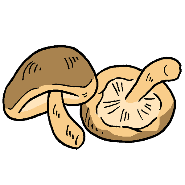 すべての動物の画像 上しいたけ イラスト かわいい