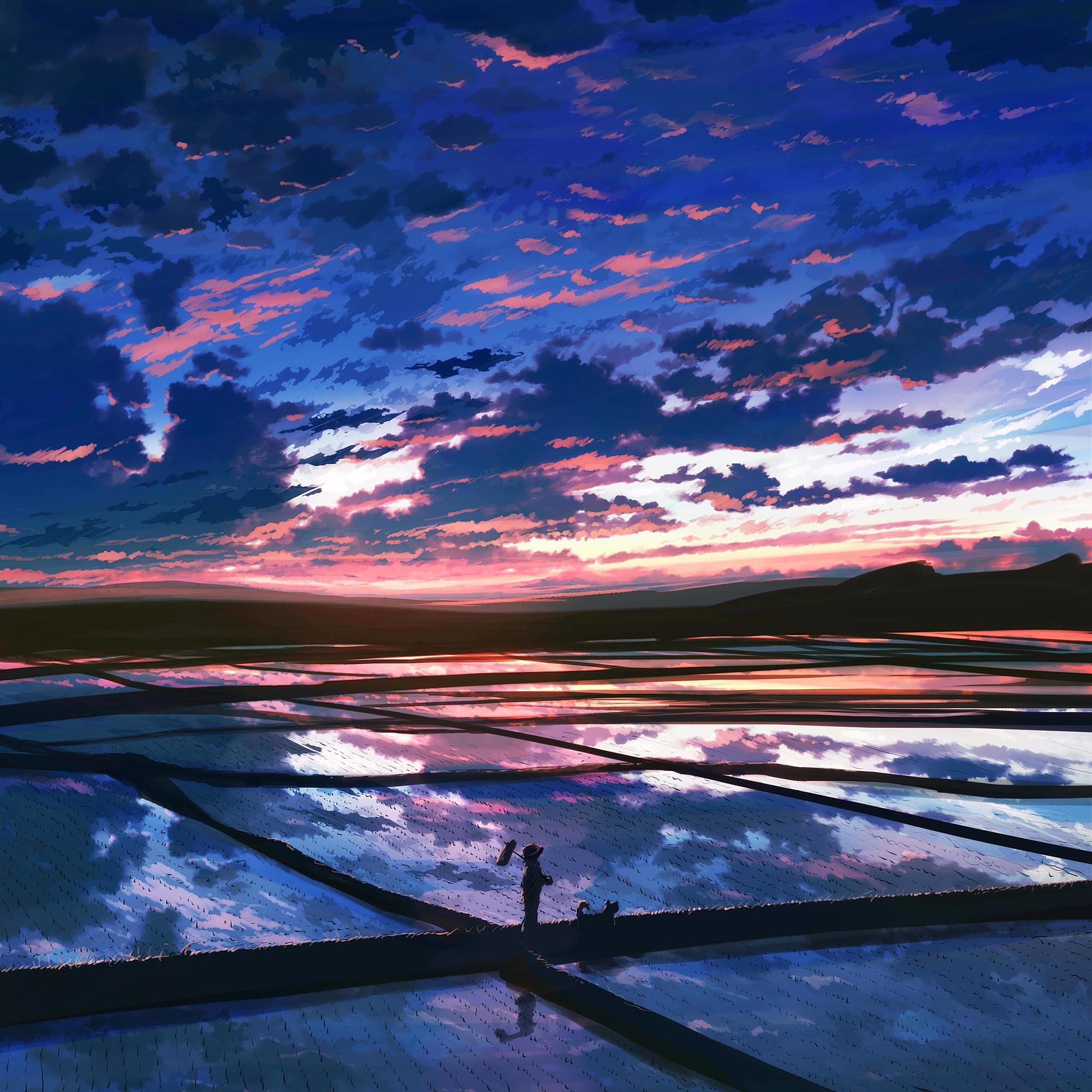 無料ダウンロード綺麗 な イラスト 夏 美しい花の画像