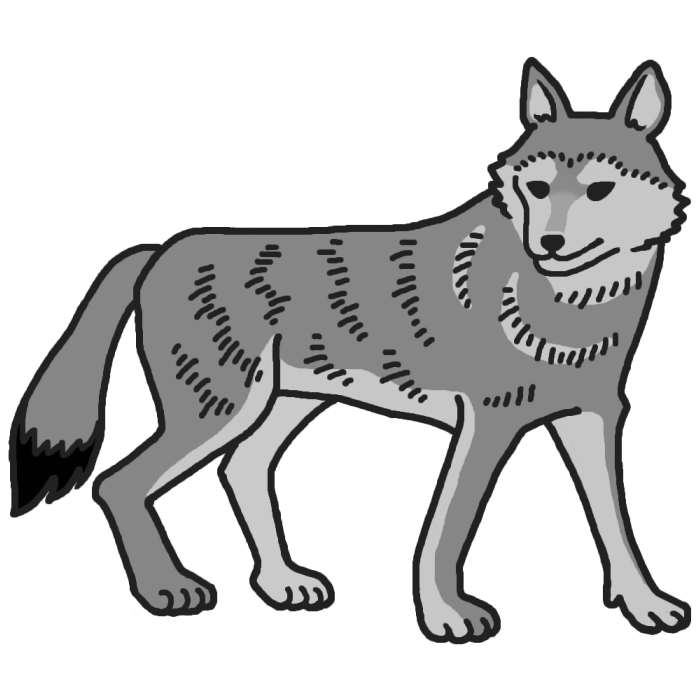 狼 イラスト 描き 方 かっこいい 狼 イラスト 描き 方 簡単
