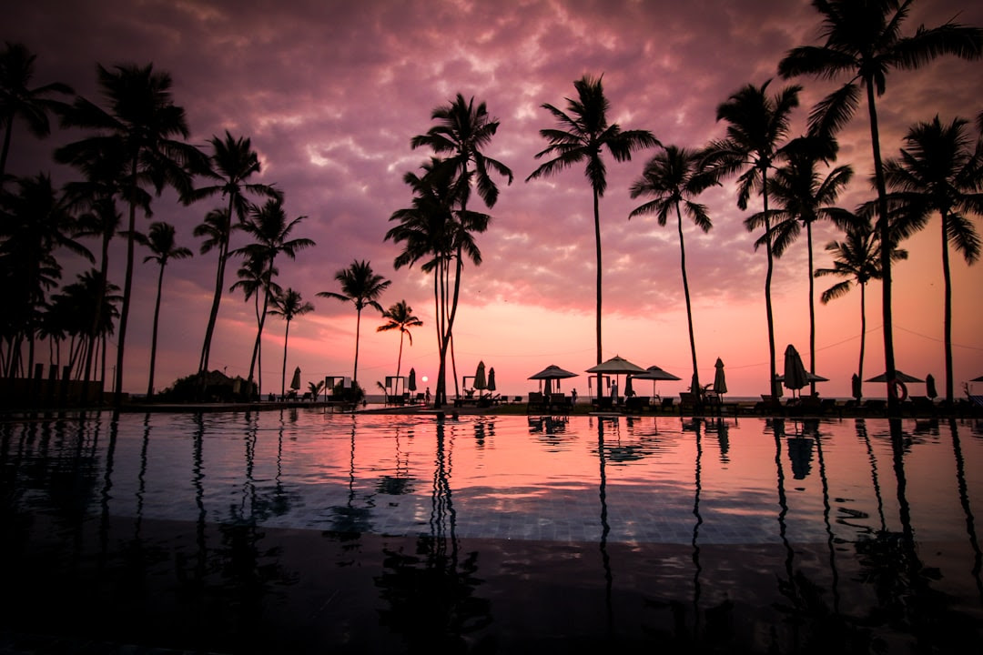 Find the best sunset beaches wallpapers to download for free in 1080, 1920 to 4k high quality resolution. 27 Stunning Beach Sunset Pictures Download Free Images On Unsplash