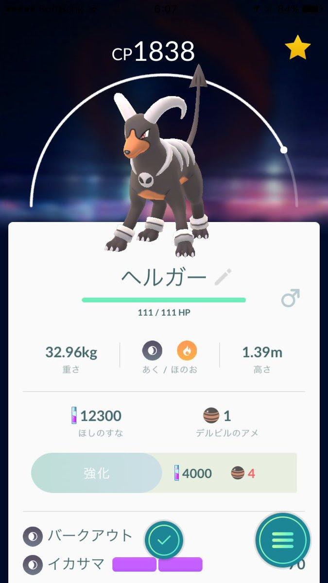 ポケモン サンムーン イカサマ イメージポケモンコレクション