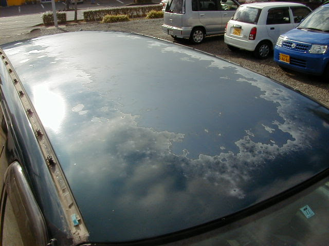 車 ルーフ 塗装 Diy Kuruma
