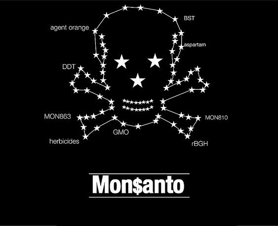 Fuera-Monsanto