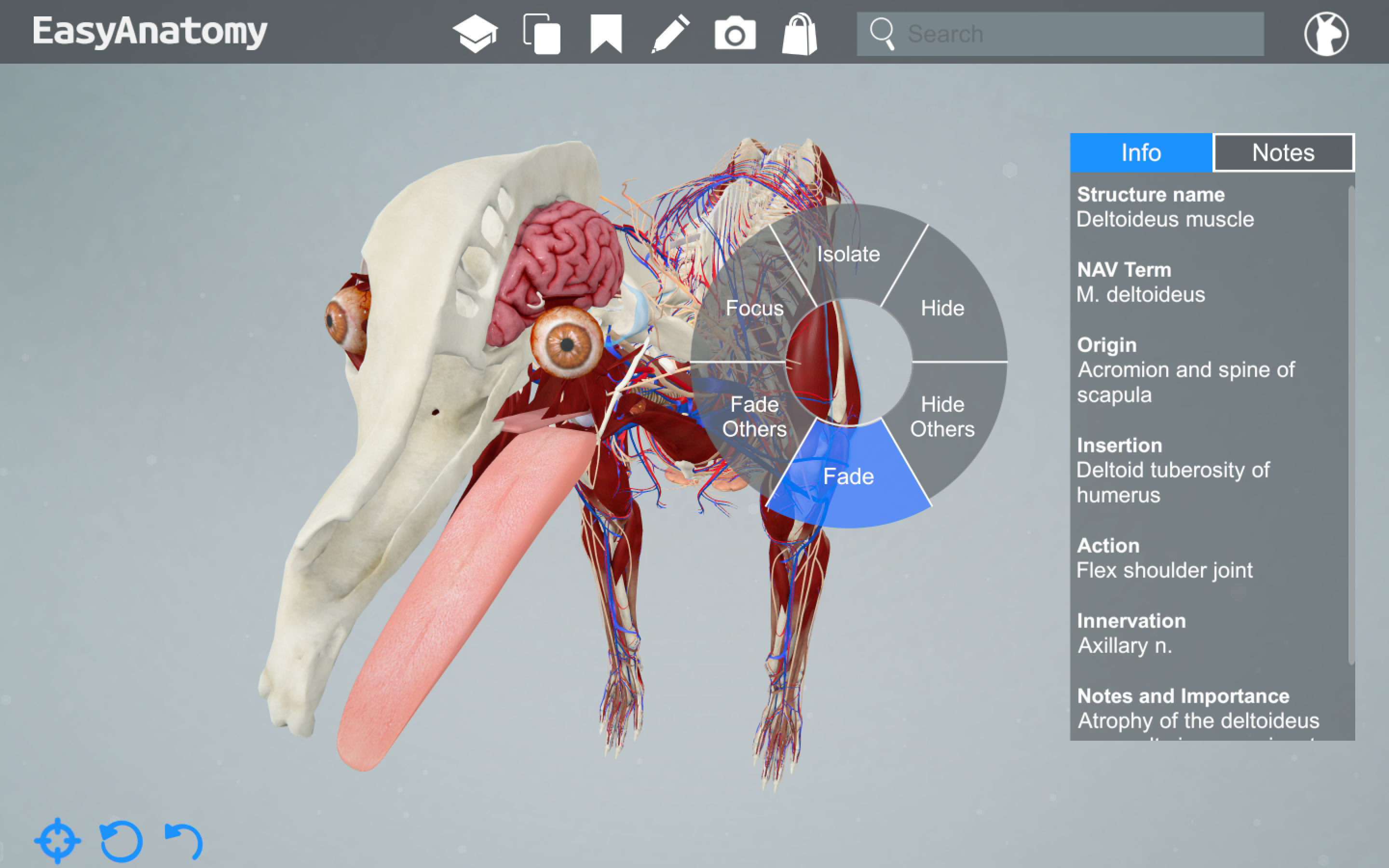Aplikasi Ar Untuk Anatomi Tubuh Vrstation