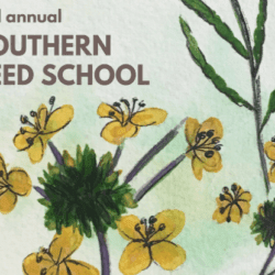 seed school