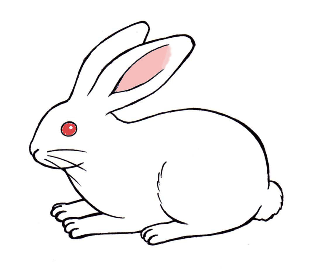 コンプリート うさぎ 横向き イラスト 可愛い 13 うさぎ 横向き イラスト 可愛い Ikiikukowegokm