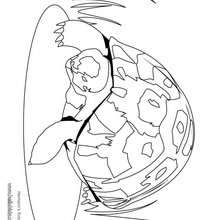 Tortoise coloring pages for kids online. Hermann S Tortoise Coloring Pages Hellokids Com