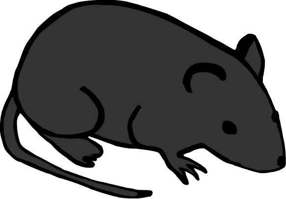 ユニークネズミ マウス イラスト フリー 動物ゾーン