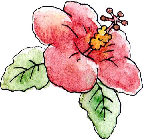 最も欲しかった イラスト ハイビスカス 簡単 ハイビスカス 沖縄 イラスト 簡単 Pictjpsipj02zo