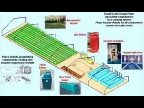 Aquaponics ibc systems ~ Waters sistem