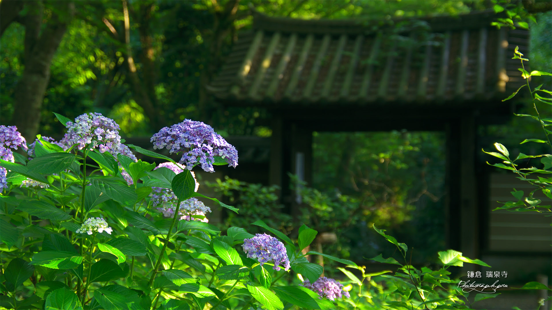 0以上 壁紙 初夏 壁紙 初夏の風景