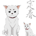 [最も好ましい] 犬 アニメ 名前 144014-犬 の 名前 アニメ キャラ