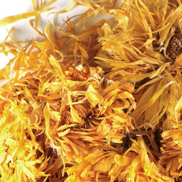 Feb 19, 2021 · calendula is believed to be native to egypt and has almost worldwide distribution. Bulk Whole Organic Calendula Flower Marigold