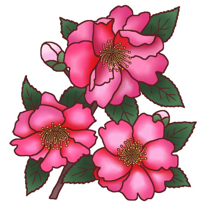 元の一月の花 イラスト 最高の動物画像