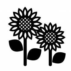 新鮮なひまわり シルエット 最高の花の画像
