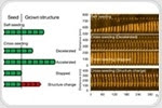 Understanding the dynamics of amyloids is crucial to treat Alzheimer’s and Parkinson’s diseases