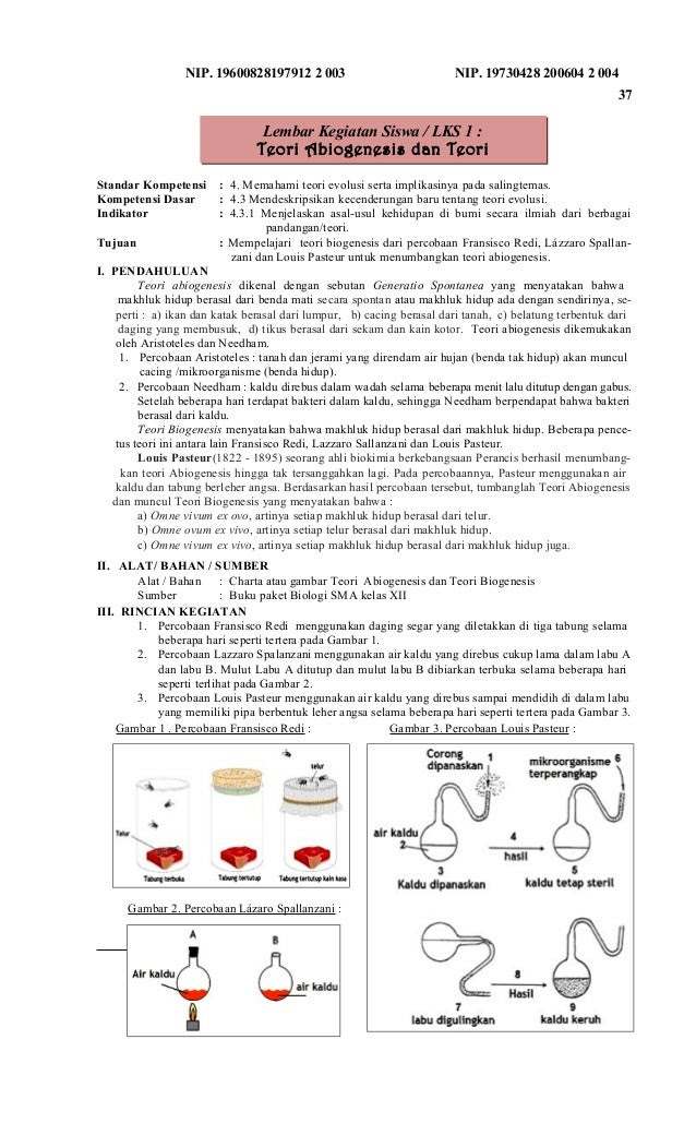 Contoh Rpp Evolusi - Frog Slinger