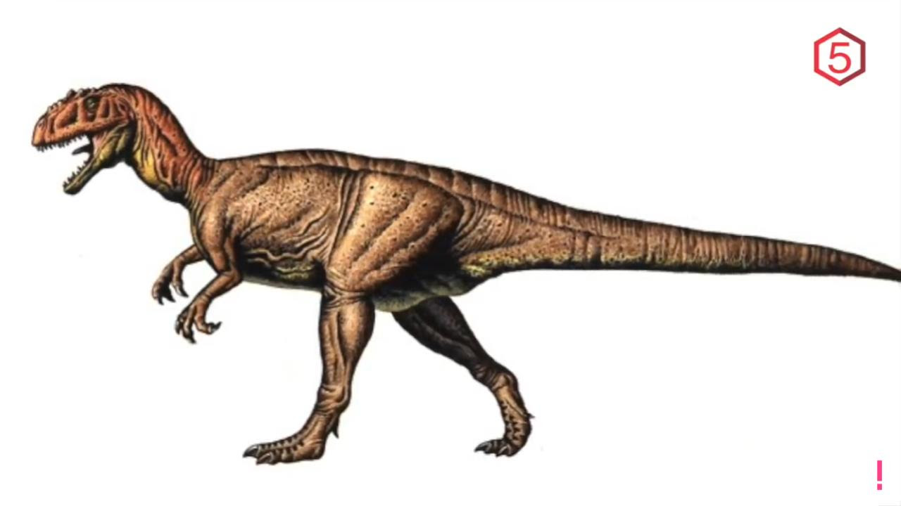 40 Ini Gambar  Dinosaurus T  Rex  Terbaru Sketsa