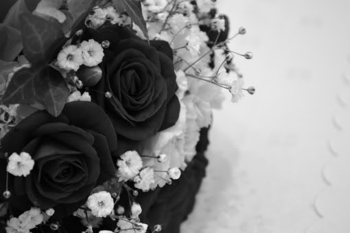 心に強く訴える薔薇 花 言葉 黒 最高の花の画像