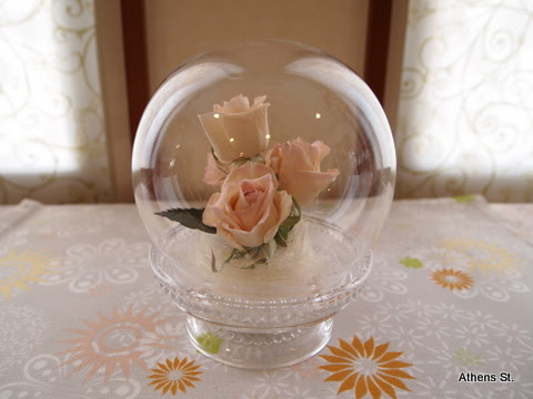美しい花の画像 最高かつ最も包括的なフリーズ ドライ 花
