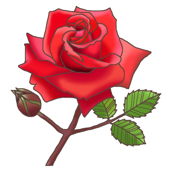 美しい花の画像 元のイラスト バラの花束