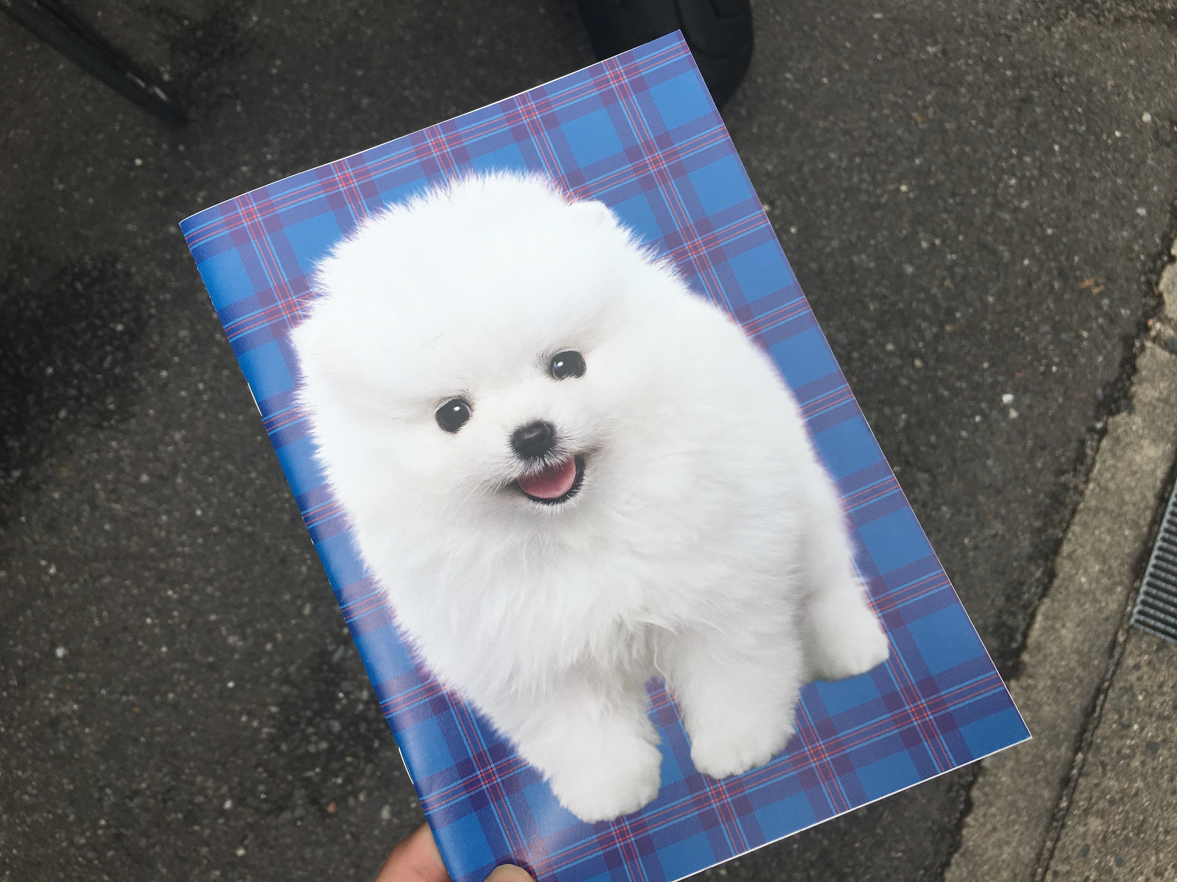 トップ100ギガ ちゃん かわいい 日本のイラスト
