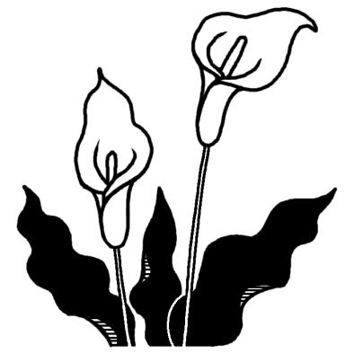 綺麗なカラー 花 イラスト ただのディズニー画像