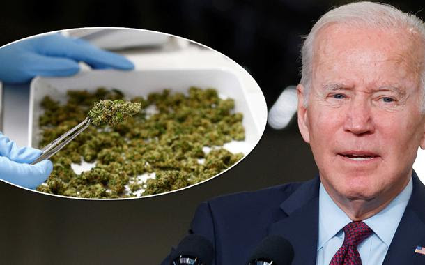 Joe Biden perdoa pena de todas as pessoas condenadas por porte de maconha nos Estados Unidos