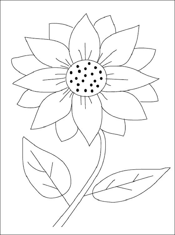 Beautiful coloring pages for your kids ;) if playback doesn't begin shortly, try restarting your device. Free Sunflower Coloring Page Download Free Sunflower Coloring Page Png Images Free Cliparts On Clipart Library