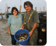 vendor of the week