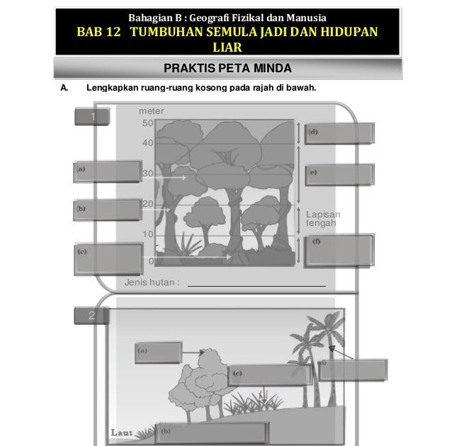 Soalan Geografi Tingkatan 1 Bab 5 - Terengganu p