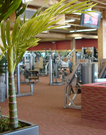 Последние твиты от luxe fitness (@loveluxefitness). Luxe Fitness Clubs Contact