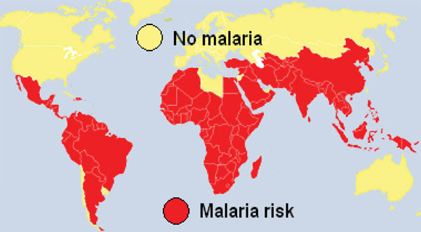 Česky rovněž nazývaná bahenní zimnice) je jedna z nejvýznamnějších infekčních nemocí.ročně malárii podlehne 0. Malaria Provocarea Secolului Xxi Imsp Spitalul Clinic Republican Timofei MoÈ™neaga
